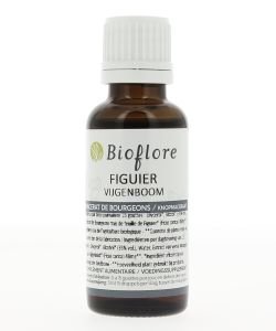 GEMMO UNITAIRE - Figuier BIO, 30 ml